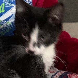 Meet your Posher, Abeer